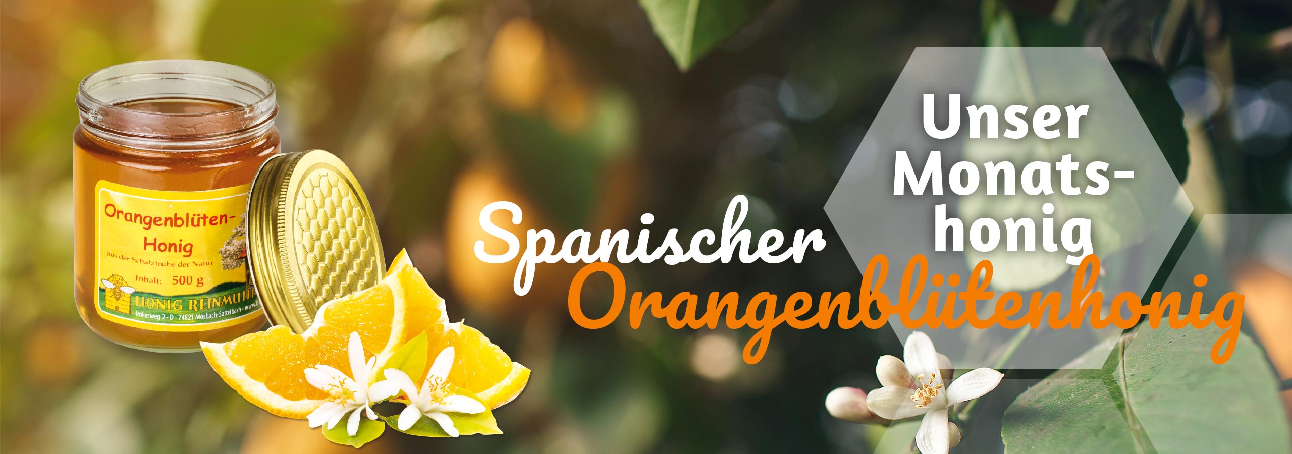 Unser Monatshonig: Orangenblütenhonig