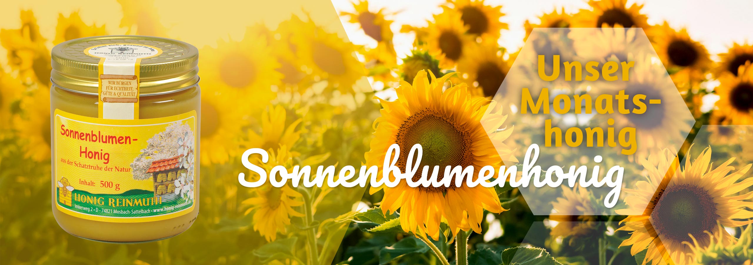 Unser Monatshonig: Sonnenblumenhonig