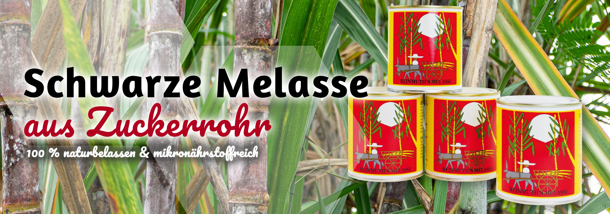 Vier Dosen schwarze Melasse von einem Hintergrundbild mit Zuckerrohr