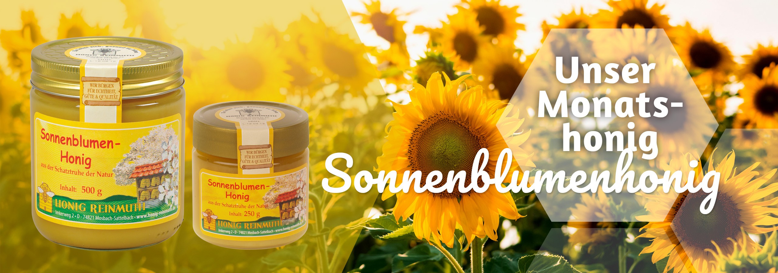 Monatshonig - Sonnenblumenhonig