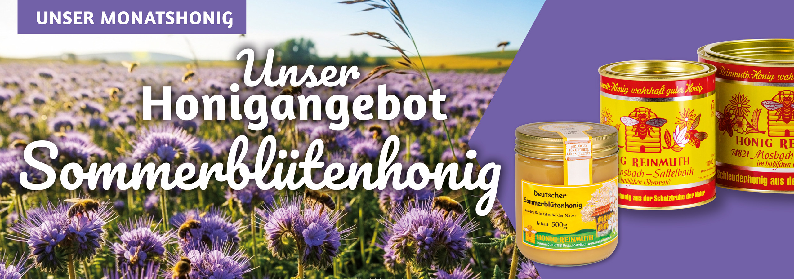 Unser Honigangebot! Sommerblütenhonig