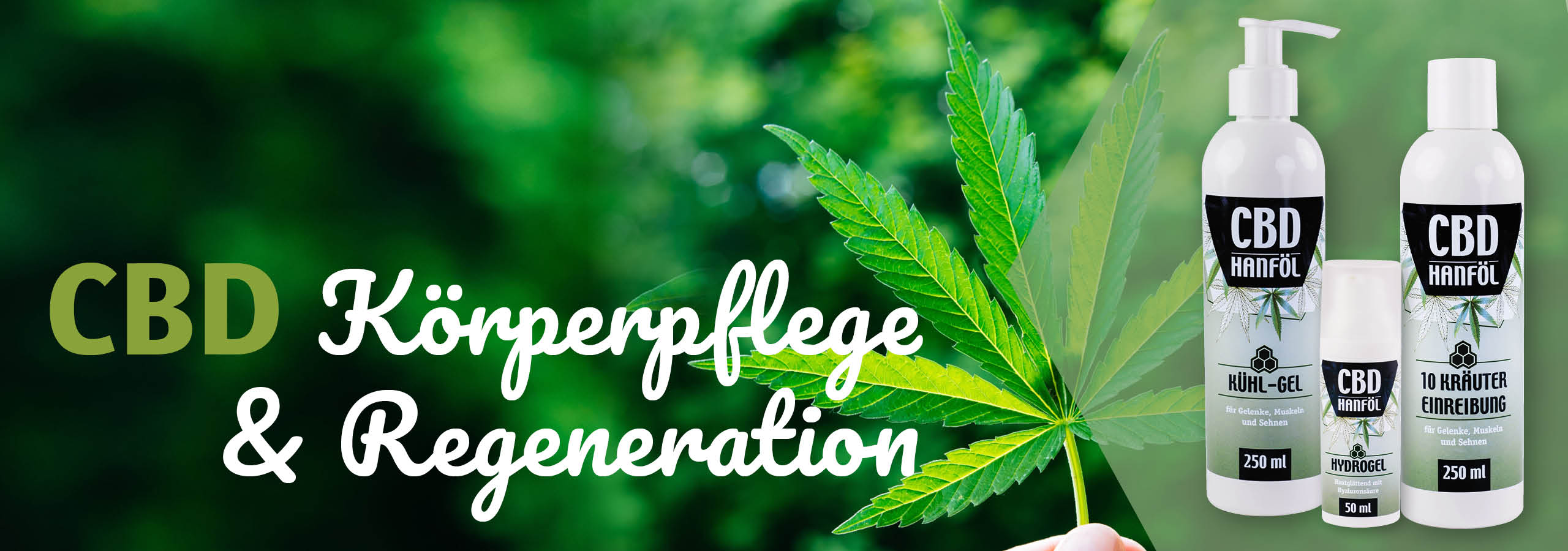 CBD Körperpflege & Regeneration