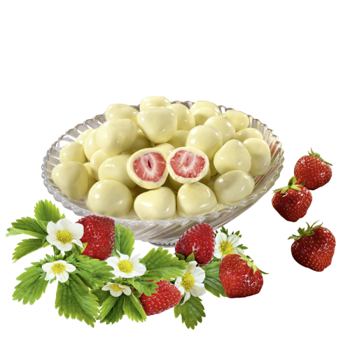 Erdbeeren mit weißer Schokolade überzogen