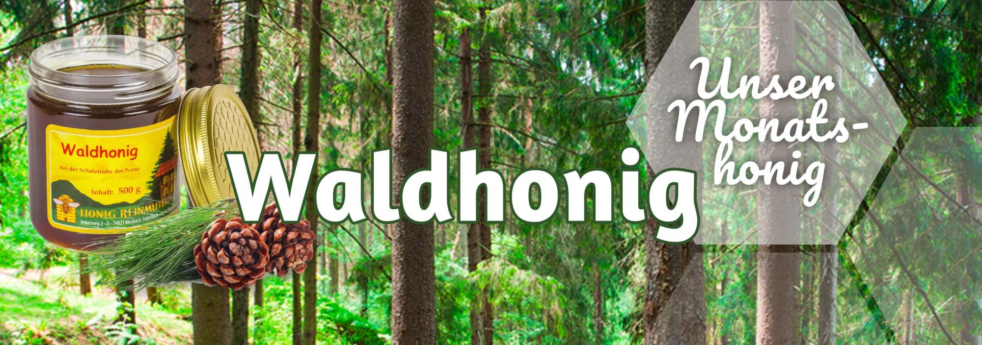 Waldhonig - unser Monatshonig