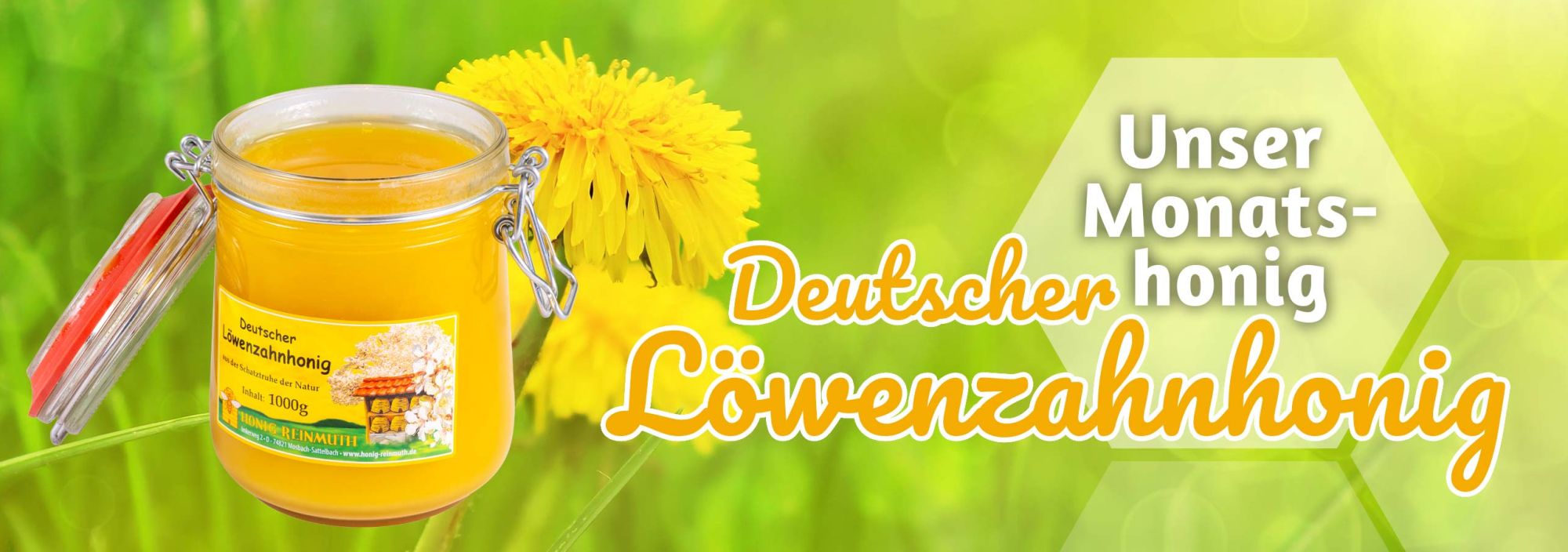 Jetzt im Angebot: Deutscher Löwenzahnhonig
