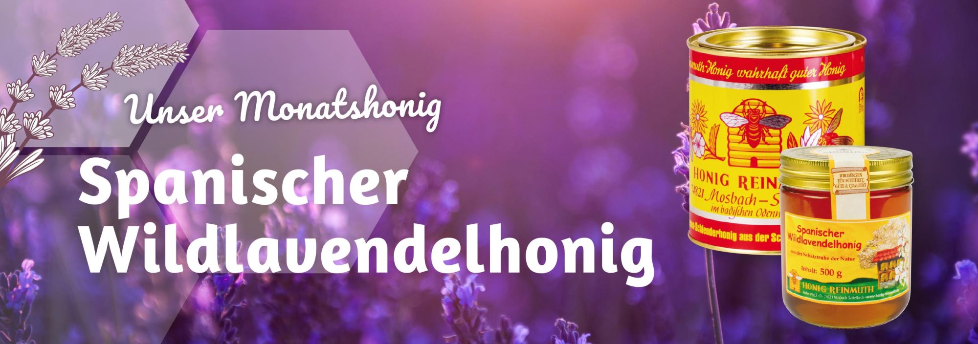 Unser Honig-Angebot im September: Spanischer Wildlavendelhonig