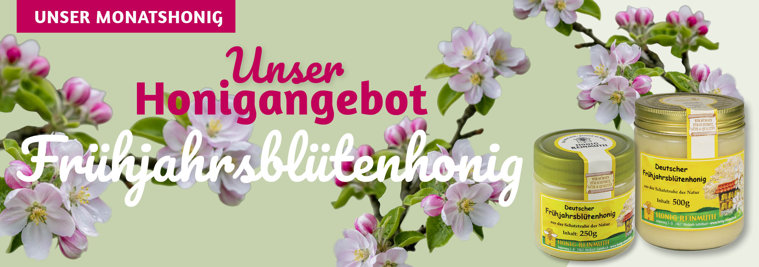 Unser Angebot: deutscher Frühjahrsblütenhonig